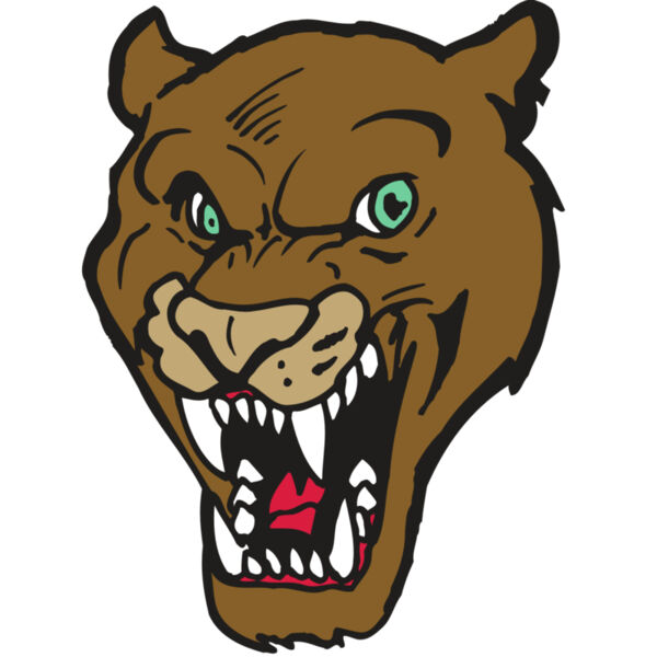 AR5 COUGAR 16 RQC Thumbnail