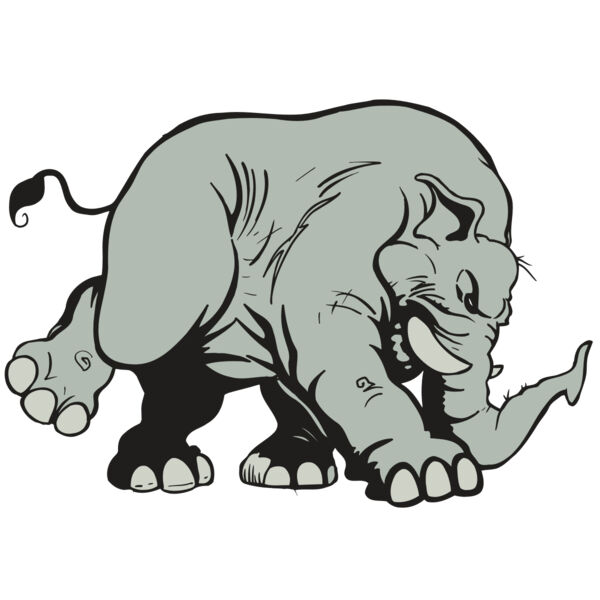 AR5 Elephant 08 RQC Thumbnail