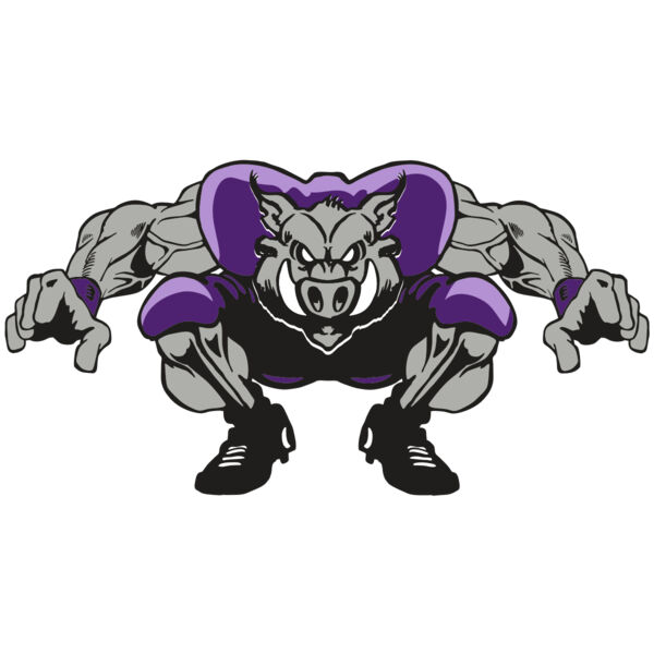 AR RAZORBACK 28 RC Thumbnail