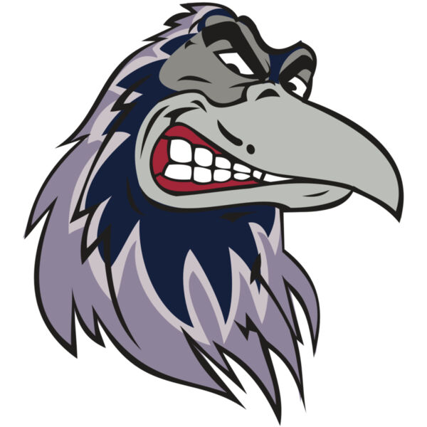 RAVEN HD0504 RQC Thumbnail