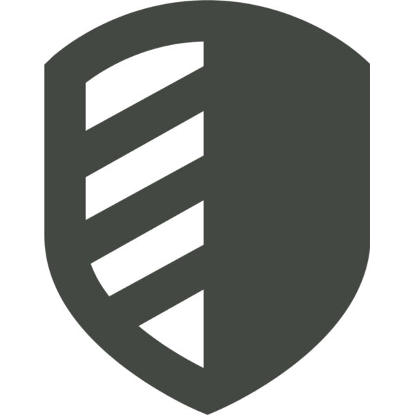 Military Chevron Striped Shield Badge Emblem 1 Thumbnail