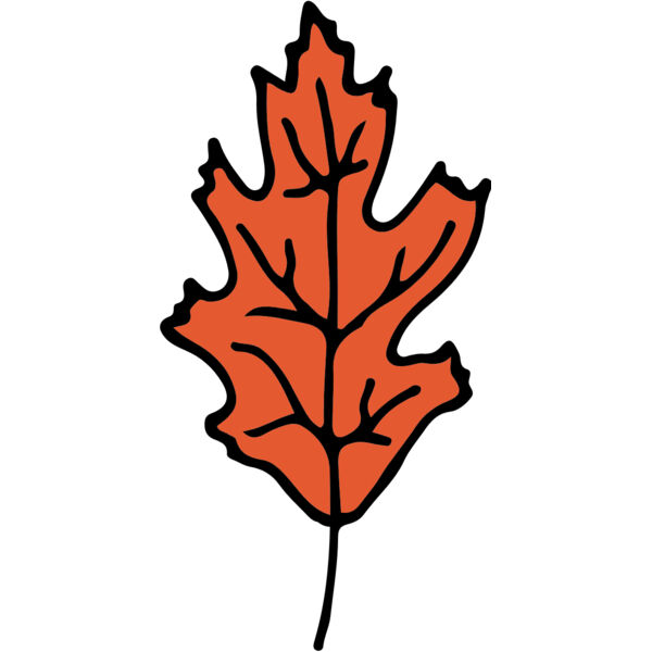 Autumn Fall Leaf 1 Thumbnail